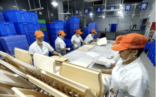 深圳餐具消毒服務機構 引領技術革新，助推循環經濟發展